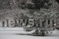 В Тверской области ослабнут морозы и придут снегопады - Новости ТИА