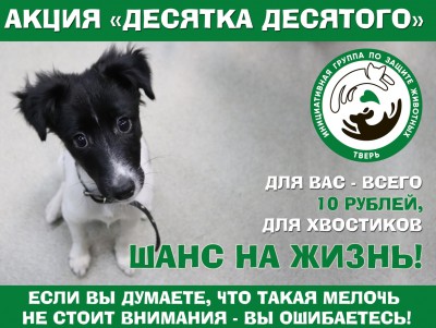В Твери проходит благотворительная акция помощи животным - Новости ТИА