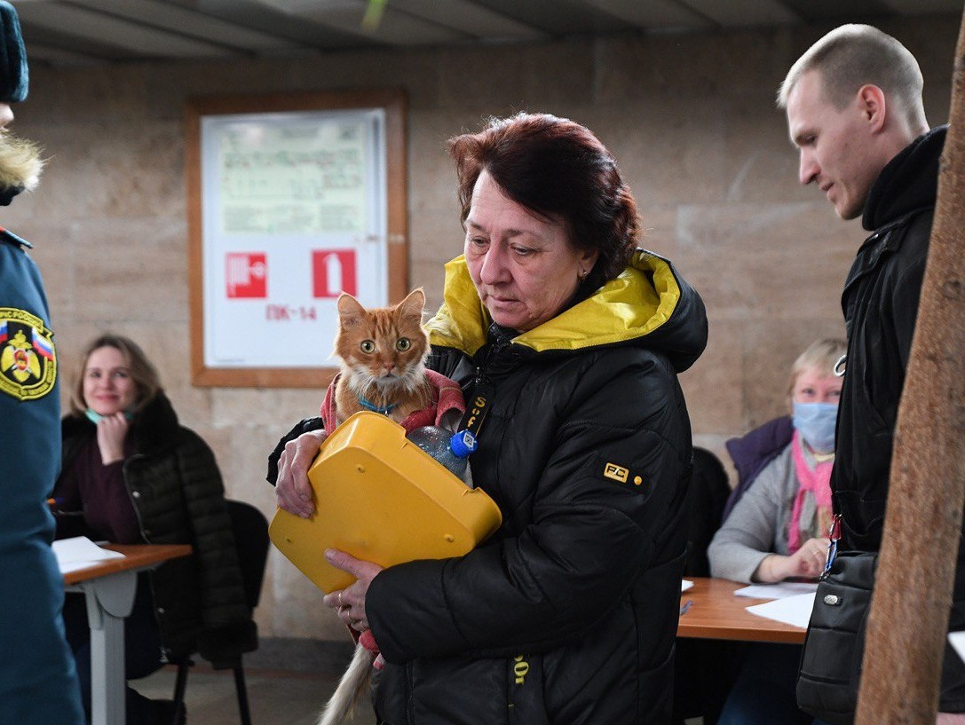 Домашним питомцам прибывших в Тверь беженцев нужны корма | 31.03.2022 |  Тверь - БезФормата