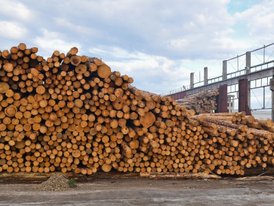 За неделю из Тверской области вывезли на экспорт более 5000 кубов древесины - Новости ТИА