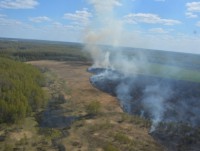 За прошедшие сутки пожарные Тверской области 65 раз выезжали на тушение горящей травы и мусора - Новости ТИА