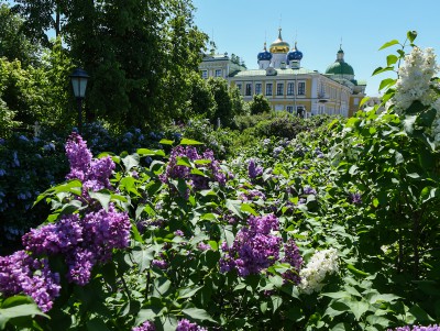 В саду Императорского дворца Твери расцвели 120 сортов сирени - Новости ТИА