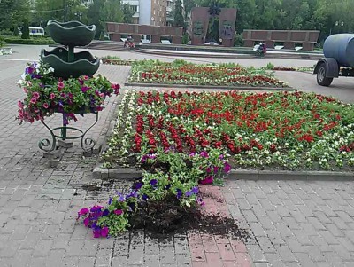 Вандалы разрушили вертикальные цветники в Твери - Новости ТИА