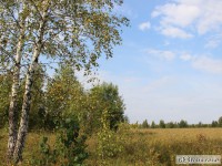 Владельца земель в Тверской области оштрафовали на 280 000 рублей - Новости ТИА