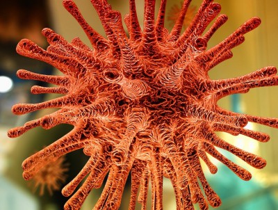  Иммунитет к коронавирусу сохраняется полгода после болезни - Новости ТИА