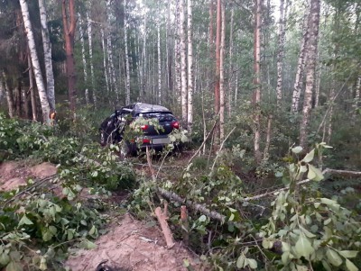 Под Вышним Волочком три молодых человека пострадали при столкновении машины с деревом - Новости ТИА