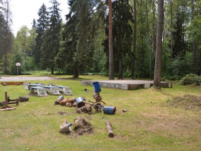 Комсомольская роща в Твери станет природным парком с медпунктом - Новости ТИА