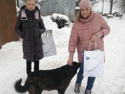 Сотрудники АтомЭнергоСбыт помогают приюту для собак - Новости ТИА