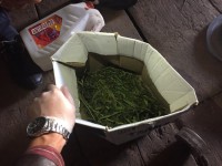 В Тверской области мужчина дома хранил 700 граммов марихуаны - Новости ТИА