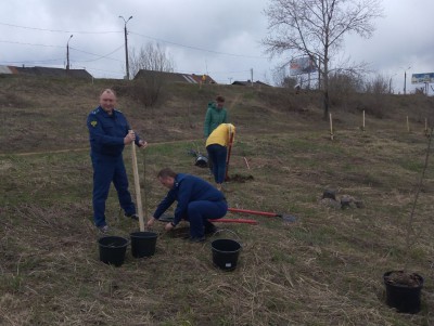 В ландшафтном парке "Тьмака"  высадили 200 деревьев - Новости ТИА