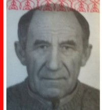Под Тверью пенсионер ушел в лес и пропал - Новости ТИА