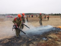 В Тверской области спасатели и ведомства тушили условные лесной и торфяной пожары - Новости ТИА