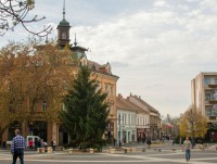 Житель Капошвара подарил городу гигантскую Рождественскую ель - Новости ТИА