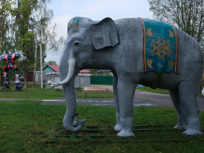 В Тверской области слону выбрали имя Павлик - новости ТИА