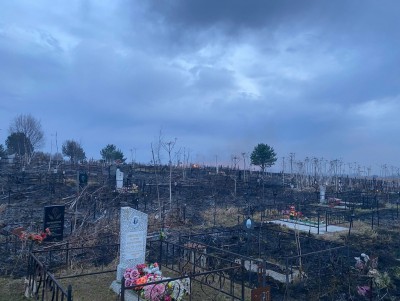 В Тверской области загорелось кладбище - новости ТИА