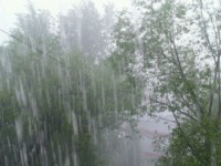 МЧС предупреждает о дожде и сильном ветре в Тверской области - новости ТИА