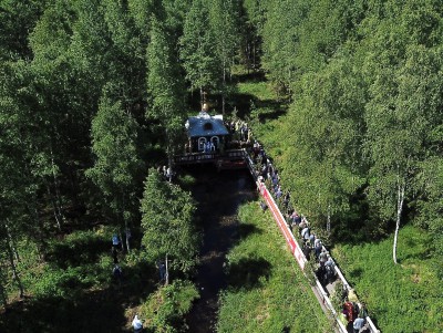 Субарендатор планировал вырубить заповедный лес у истока Волги  - Новости ТИА