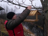 Осуждённые ЛИУ-3 сделали и развесили кормушки для птиц - Новости ТИА