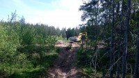 Жители Эммауса просят сохранить лес - Новости ТИА