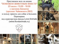 В Твери пройдёт благотворительная акция в пользу бездомных животных - Новости ТИА