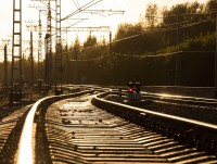В Тверской области скорый поезд сбил лося - Новости ТИА