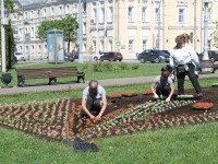 В Твери сажают цветы на клумбах и косят траву - Новости ТИА