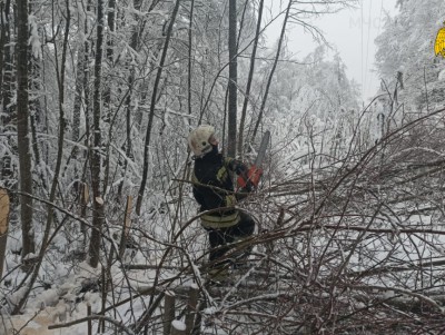 Сотрудники МЧС помогают распиливать поваленные деревья - Новости ТИА