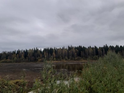 Собственник земли самовольно построил дамбу на реке и уничтожил сельхозугодья - Новости ТИА