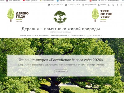 Проходит голосование на конкурсе "Европейское дерево года-2021"  - новости ТИА