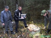 В Тверской области количество незаконных вырубок сократилось почти в 2 раза. О том, кто и как борется с "чёрными лесорубами" - Новости ТИА