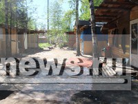 Жизнь в трущобах: в Тверской области люди строят дома и живут на свалке, потому что там есть работа - Новости ТИА