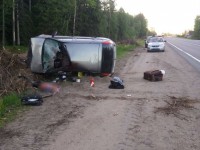 В аварии с лосем на М-10 в Тверской области погиб водитель - Новости ТИА
