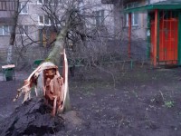 Пользователи соцсетей делятся последствиями урагана в Тверской области  - новости ТИА