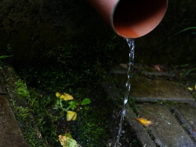 Под Тверью дачница сбрасывала сточные воды на участок соседям - Новости ТИА