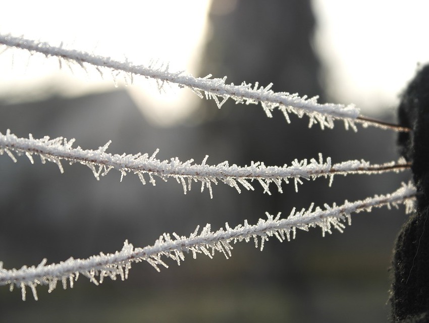 <strong>Фото: pixabay.com</strong><p></p>