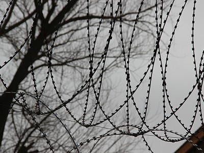 ГосДума приняла поправки в закон об ужесточении наказания за пытки - Новости ТИА