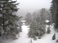 Северо-запад Тверской области засыпает снегом - Новости ТИА