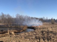 В Тверской области начались палы прошлогодней сухой травы   - Новости ТИА