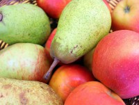 В России запретили яблоки и груши из Белоруссии - Новости ТИА