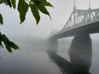В Тверской области в 2019 году стоимость патента для трудовых мигрантов увеличится на 133 рубля - Новости ТИА