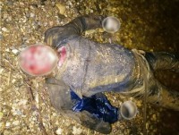 В реке Волга в Тверской области выловили тело неизвестного мужчины - Новости ТИА
