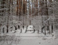 В Тверской области ожидаются морозы до -10 и снег - Новости ТИА