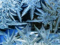 Среднесуточная температура в Тверской области ниже нормы на 7 градусов - Новости ТИА