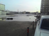 В Брусилово сливают нечистоты практически на детскую площадку - Народные Новости ТИА