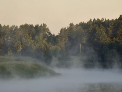 В Тверской области расположены 992 особо охраняемые природные территории  - новости ТИА
