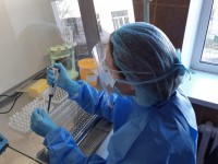 Хорошие новости про коронавирус в Твери: почти сотня исследований в день и все отрицательные - новости ТИА