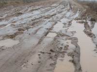 Администрация обнадёжила ремонтом дороги оторванных от цивилизации жителей деревень под Тверью - Новости ТИА