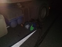 В Тверской области пешеход выбежал на дорогу и погиб под колесами грузовика - Новости ТИА