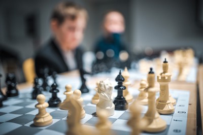 Медвежьи шахматы: история создания игры и новый бренд Твери  - Новости ТИА