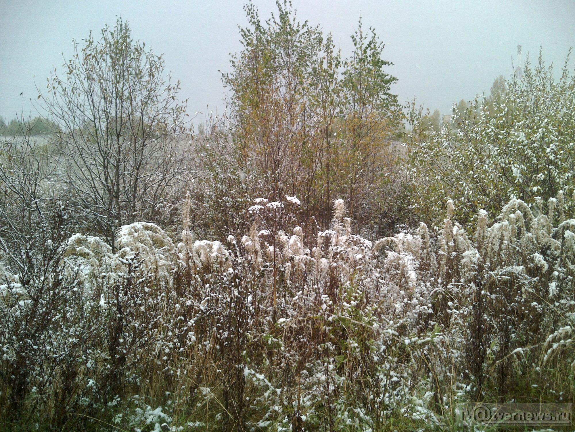 Вяземский первый снег